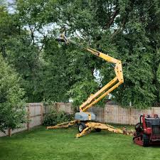 Best Hedge Trimming  in Hawthorne, FL